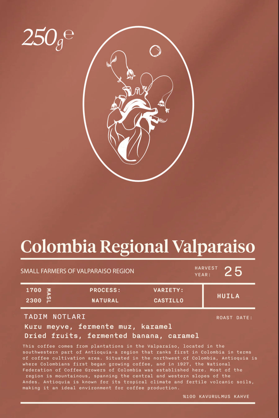 Colombia, Regional Valparaiso - Filtre Kahve